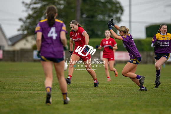 Louth v Wexford (Minor round 2) - 202503221414572800
