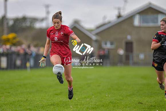20240316 - Down v Louth (NFL Div 3 Round 6) - 202403171434131600