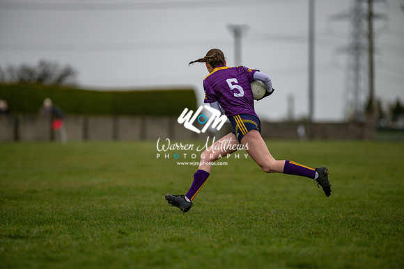 Louth v Wexford (Minor round 2) - 202503221422477400