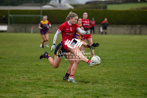 Louth v Wexford (Minor round 2) - 202503221521490800