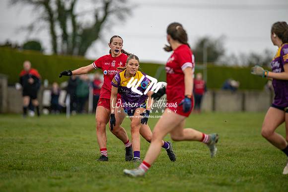 Louth v Wexford (Minor round 2) - 202503221415005000
