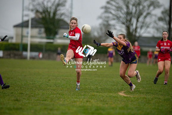 Louth v Wexford (Minor round 2) - 202503221432417200