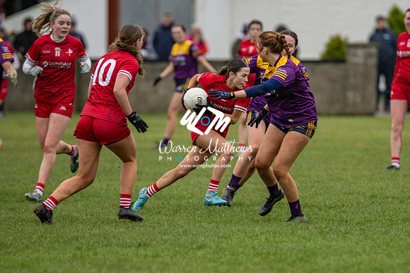Louth v Wexford (Minor round 2) - 202503221501587000