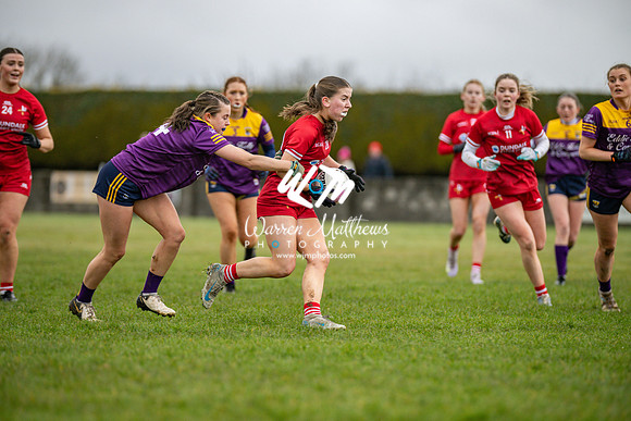 Louth v Wexford (Minor round 2) - 202503221419328900