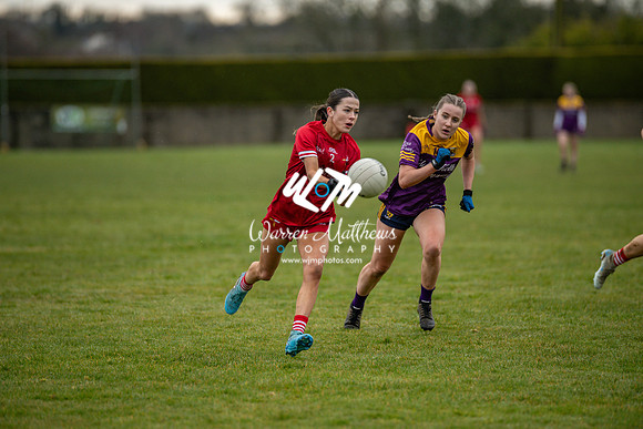 Louth v Wexford (Minor round 2) - 202503221458230100