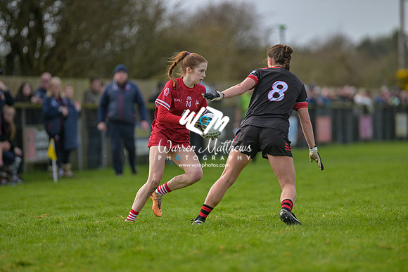 20240316 - Down v Louth (NFL Div 3 Round 6) - 202403171422157700