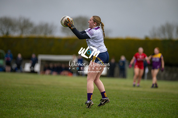Louth v Wexford (Minor round 2) - 202503221405354500