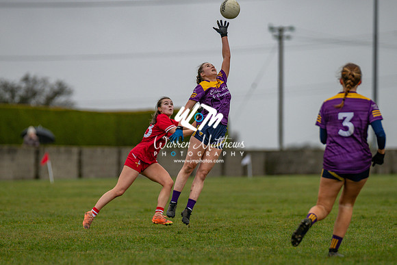 Louth v Wexford (Minor round 2) - 202503221426198000