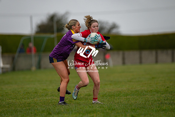 Louth v Wexford (Minor round 2) - 202503221426338200