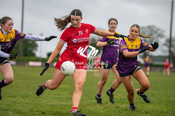 Louth v Wexford (Minor round 2) - 202503221430512900
