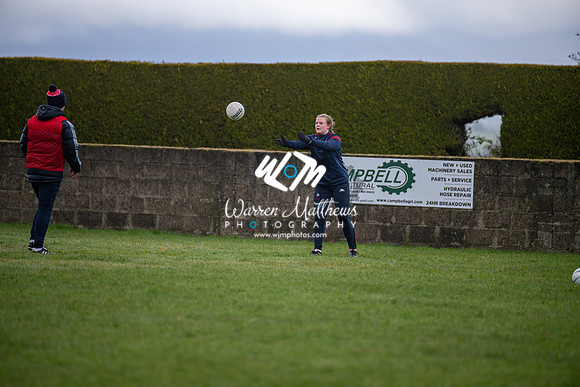 Louth v Wexford (Minor round 2) - 202503221348263900