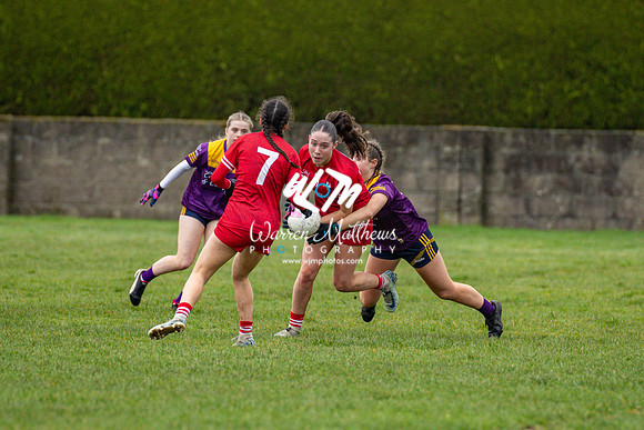 Louth v Wexford (Minor round 2) - 202503221454153400