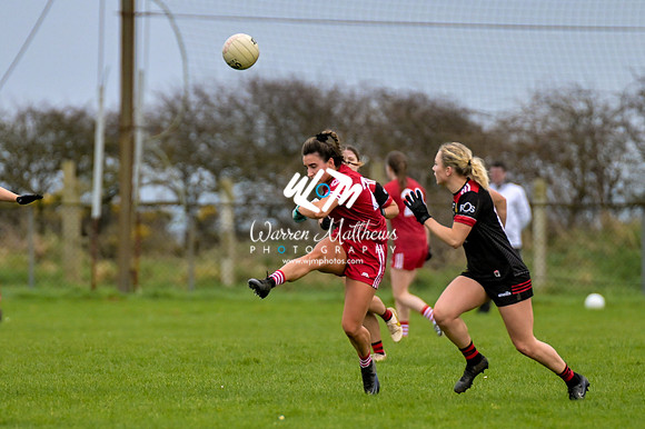20240316 - Down v Louth (NFL Div 3 Round 6) - 202403171520191100