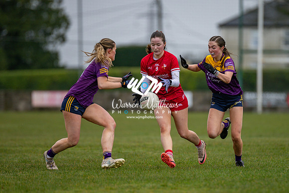 Louth v Wexford (Minor round 2) - 202503221403400500