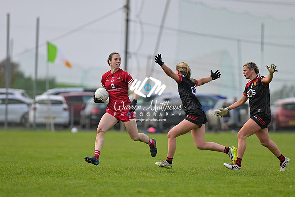20240316 - Down v Louth (NFL Div 3 Round 6) - 202403171425503800