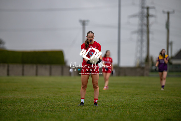 Louth v Wexford (Minor round 2) - 202503221405013300