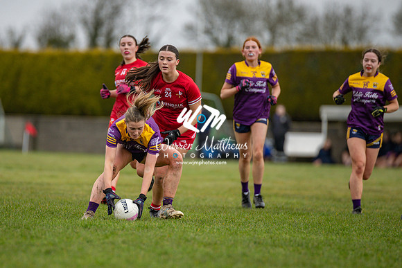 Louth v Wexford (Minor round 2) - 202503221419577900