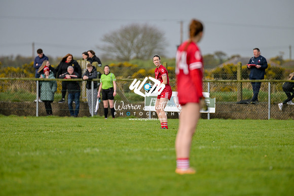 20240316 - Down v Louth (NFL Div 3 Round 6) - 202403171415470800