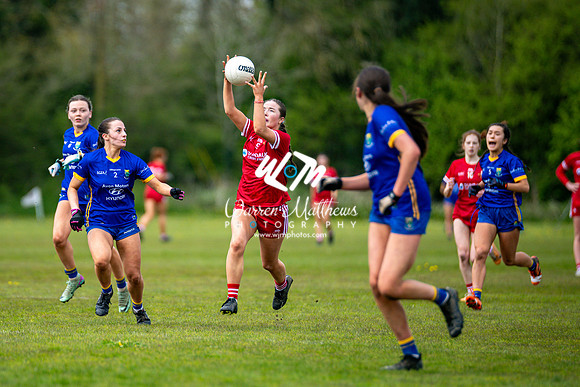 20240427 - Wicklow v Louth (Leinster LGFA Minor C Championship) - 202404271414456600
