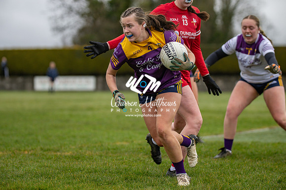 Louth v Wexford (Minor round 2) - 202503221423301700