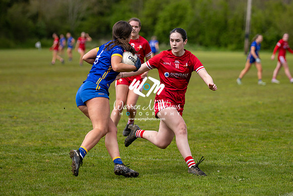 20240427 - Wicklow v Louth (Leinster LGFA Minor C Championship) - 202404271422474700