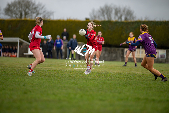 Louth v Wexford (Minor round 2) - 202503221426079700