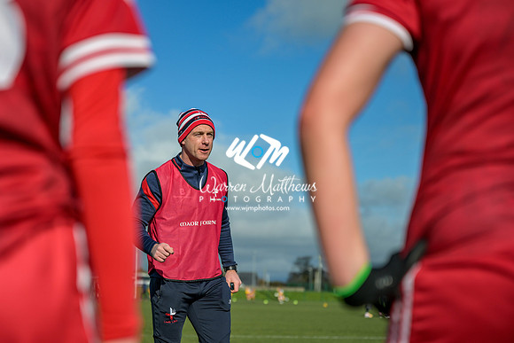 20240303 - Louth vs Clare (NFL Round 5) - 202403031349569200
