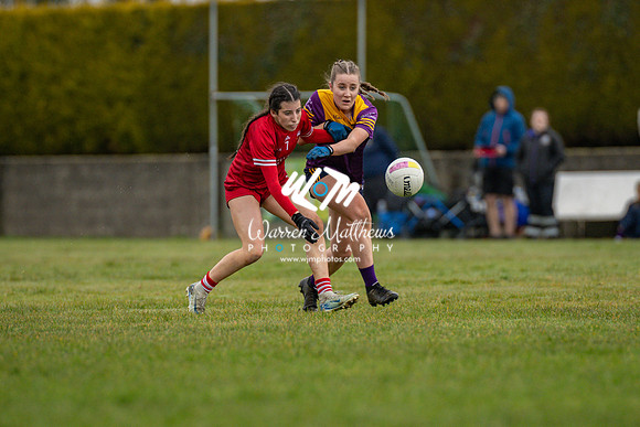 Louth v Wexford (Minor round 2) - 202503221419221300