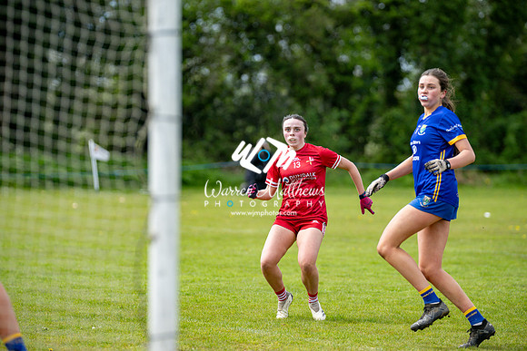 20240427 - Wicklow v Louth (Leinster LGFA Minor C Championship) - 202404271422442300