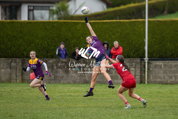 Louth v Wexford (Minor round 2) - 202503221454124300
