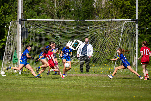 20240427 - Wicklow v Louth (Leinster LGFA Minor C Championship) - 202404271449112600