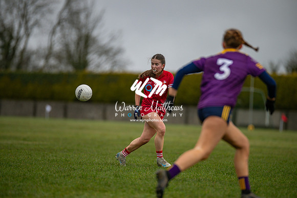 Louth v Wexford (Minor round 2) - 202503221422369000