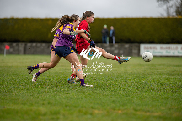 Louth v Wexford (Minor round 2) - 202503221419339200