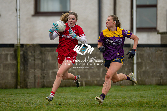 Louth v Wexford (Minor round 2) - 202503221423078800