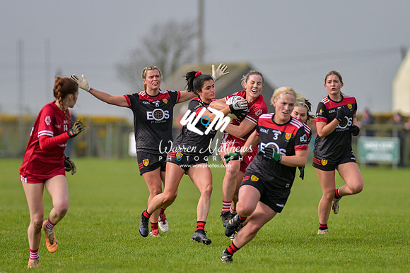20240316 - Down v Louth (NFL Div 3 Round 6) - 202403171410383700