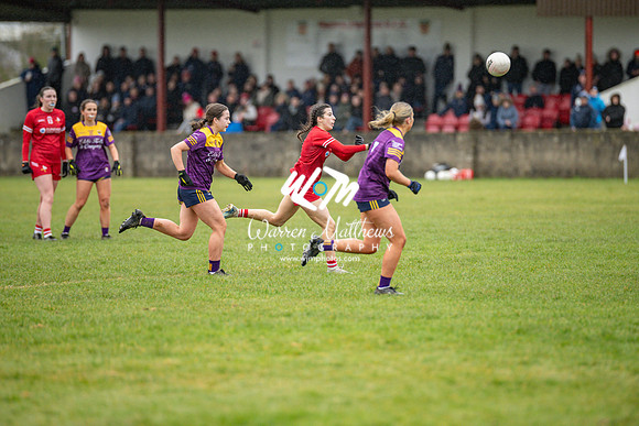 Louth v Wexford (Minor round 2) - 202503221506459900