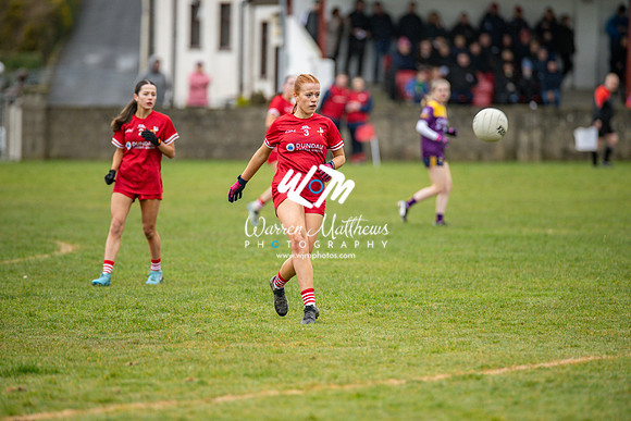 Louth v Wexford (Minor round 2) - 202503221455472000