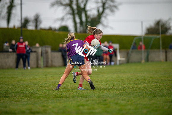 Louth v Wexford (Minor round 2) - 202503221426329700