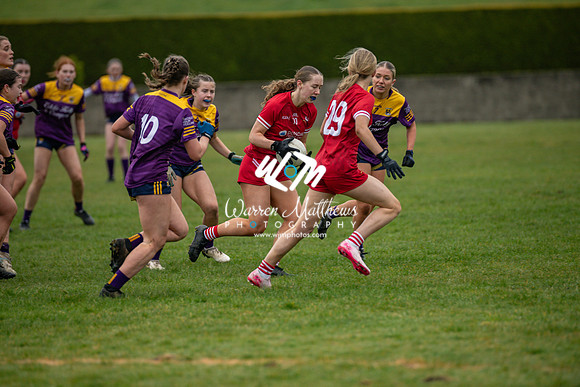 Louth v Wexford (Minor round 2) - 202503221458307500