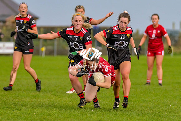 20240316 - Down v Louth (NFL Div 3 Round 6) - 202403171524327500