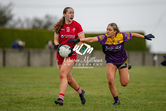 Louth v Wexford (Minor round 2) - 202503221414597500