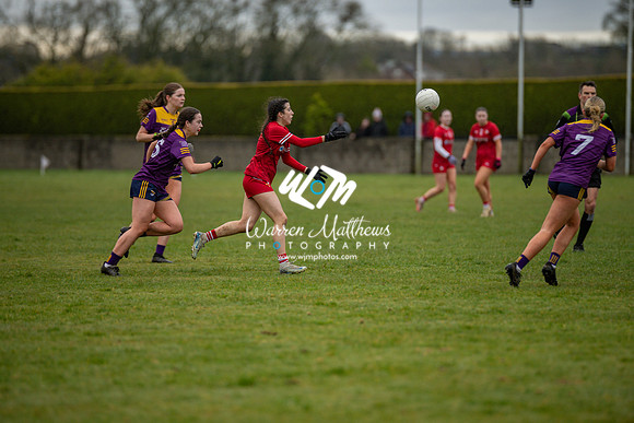 Louth v Wexford (Minor round 2) - 202503221506436300