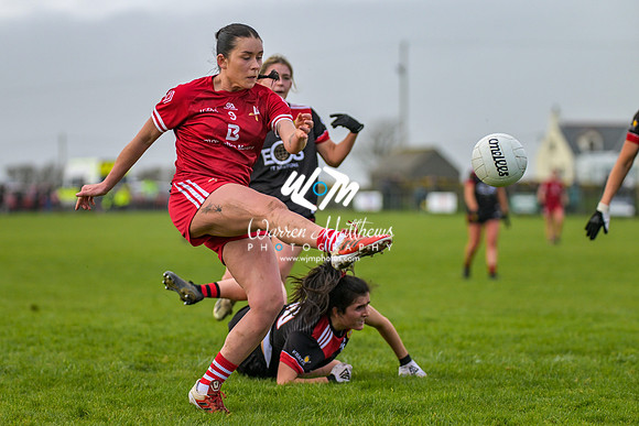 20240316 - Down v Louth (NFL Div 3 Round 6) - 202403171432447700