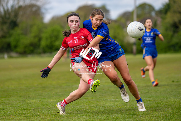 20240427 - Wicklow v Louth (Leinster LGFA Minor C Championship) - 202404271413183600