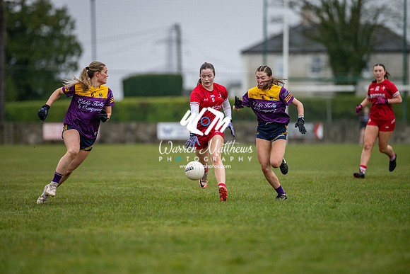 Louth v Wexford (Minor round 2) - 202503221403398000