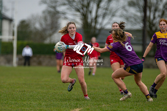 Louth v Wexford (Minor round 2) - 202503221432405500