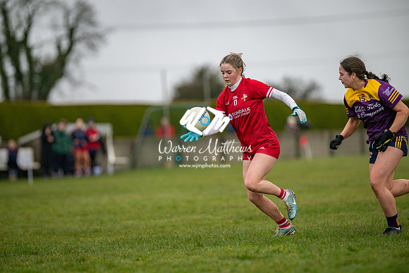 Louth v Wexford (Minor round 2) - 202503221426351500