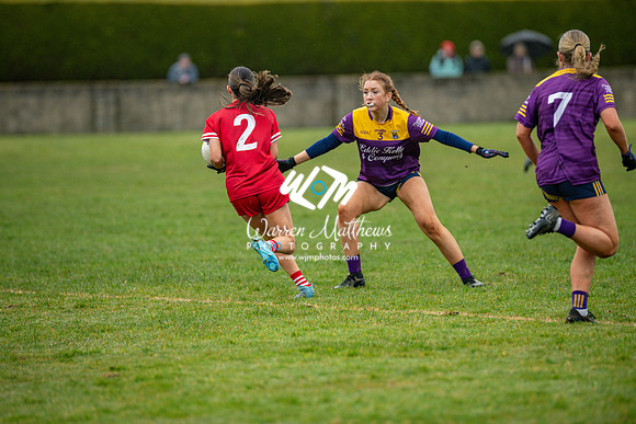 Louth v Wexford (Minor round 2) - 202503221458274700