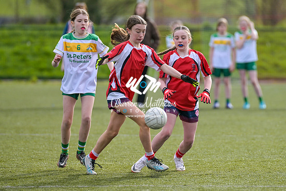 20240303 - Louth vs Clare (NFL Round 5) - 202403031440392700