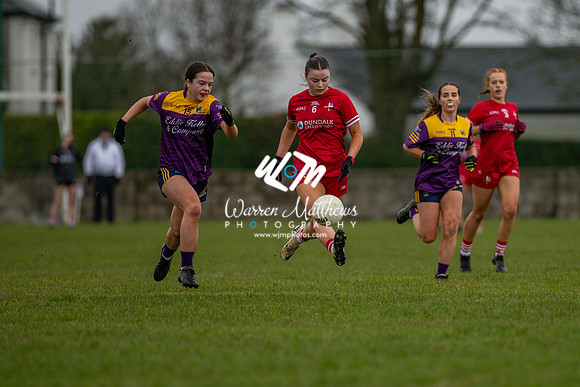 Louth v Wexford (Minor round 2) - 202503221417586300